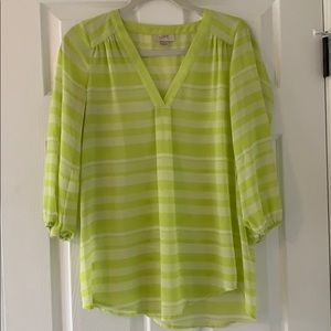 Green and White Blouse